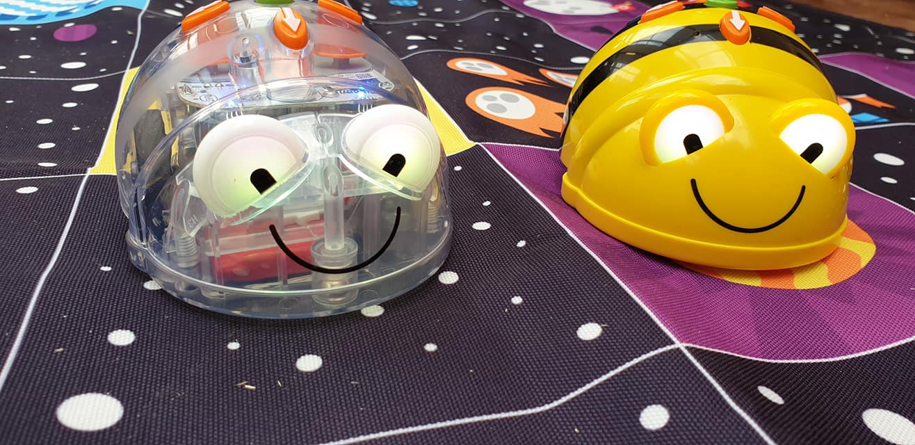 87294700_1540529776100388_5056401925986058240_o